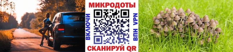 где можно купить   Галич  blacksprut ТОР  Псилоцибиновые грибы Psilocybe 